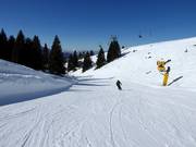 Piste Pioverna Nr. 25