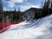 Ende der schweren Abfahrt Gruber Spezial