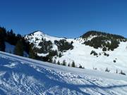 Blick zum Wildgunten