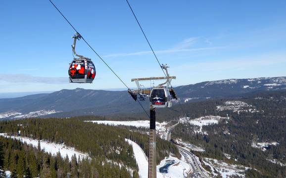 Zwieseler Winkel: beste Skilifte – Lifte/Seilbahnen Arber