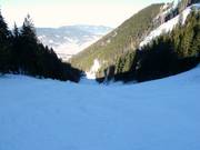 Abfahrt von der Unternbergalm