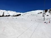 Anfänger im Fleisstal (Fleissbahn und Ederfeldlift)