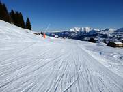 Blaue Piste von Crest Falla nach Canischauna