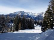 Leichte Piste Seehof