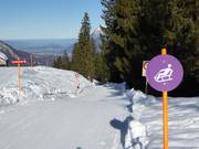 Tipp für die Kleinen  - Schlittelweg Furt-Maienberg-Wangs
