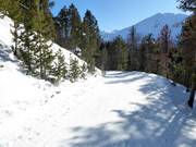 Talabfahrt nach Tschierv