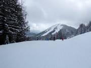 Ganz leichte Piste am Red Mountain Village
