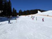 Seil-Lift im Kinderlachtal