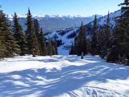 Marmot Basin – Jasper