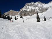 Feldernanger Abfahrt