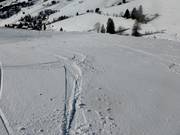 Tiefschneegebiet an der Hauptabfahrt am Stübenwasenlit