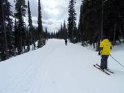Ziehwege verbinden die einzelnen Lifte in Big White