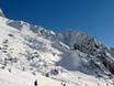 Skigebiete für Könner und Freeriding Tiroler Zugspitz Arena – Könner, Freerider Ehrwalder Alm – Ehrwald