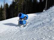 Schneekanone im Skigebiet Ravna Planina