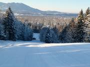 Rechte Abfahrt durch die Waldschneise