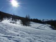 Frisch gespurte Höhenloipe