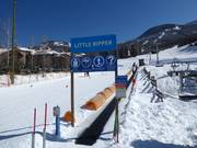 Little Ripper Carpet - Förderband/Zauberteppich