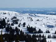 Lunnstadheisen (K) - Tellerlift