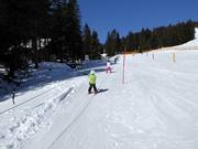 Teddy-Seillift Kinder-Lachtal - Seillift/Babylift mit niederer Seilführung