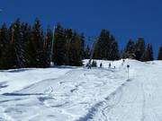 Hinterwieslift - Schlepplift mit T-Bügel/Anker