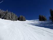 Schwere Piste Nr. 5 Bort direkt