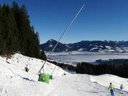Schneelanzen in Ofterschwang