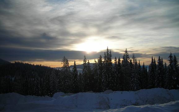 Skifahren bei Whitefish