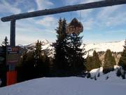 Waldabfahrt The Stash