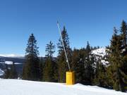 Schneilanze in Kvitfjell