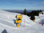 Leistungsfähige Schneekanone in Jahorina