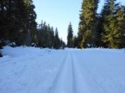 Loipe in Pec pod Sněžkou