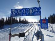 Tube Town Carpet - Förderband/Zauberteppich