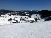 Franzosenbergabfahrt