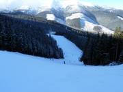 Piste Nr. 2 Májová