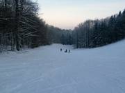 Leichte Abfahrt am Hirtenteichlift