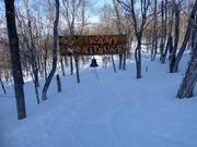 Tipp für die Kleinen  - Kamp Kitsune