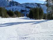 Leichte Gammeringabfahrt