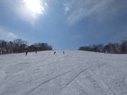 Breite Piste Steamboat B