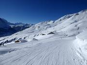 Blick über Schreckfeld bis First