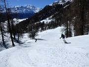 Mittelschwere Abfahrt nach Törbel