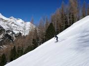 Schwarze Piste Grünboden