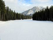 Breite und leichte Pisten an der Doppelsesselbahn Bronze Chair
