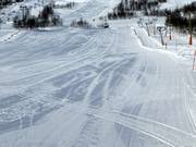 Anfängergelände an den Tellerliften Mikkel und Mikkeline