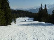 Piste am Sattelkurvenlift