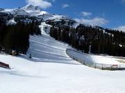 Die Almabfahrt endet am Gamsjet