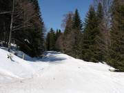 Langlauf in Pamporovo