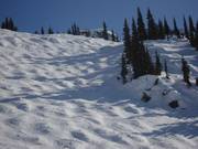 Perfekte Buckelpiste