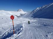Kogel-Mogel Wellenbahn