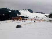 Förderbänder für die Anfänger
