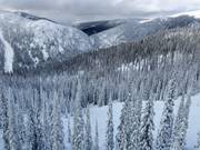 Blick über die Waldabfahrten (Gladed Runs)